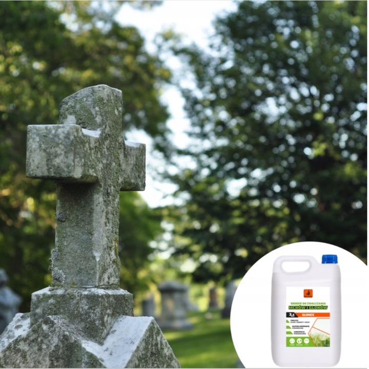 2 x DRAGON GLONEX ŚRODEK DO ZWALCZANIA MCHÓW GLONÓW POROSTÓW BEZBARWNY