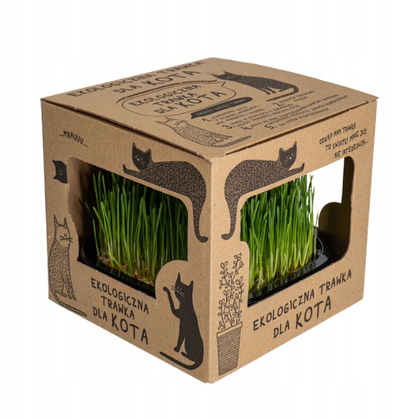 2x EKO Trawka Dla Kota Trawa Odkłaczająca Przysmak EKOLOGICZNA WYROŚNIĘTA