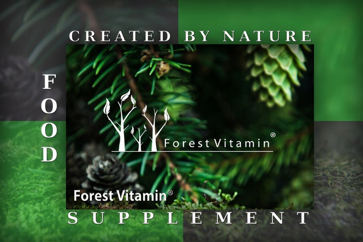 FOREST WITAMINA D3 10000iu 100 tab MOCNA ZDROWIE