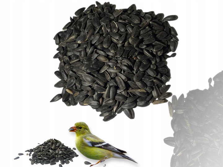 Czarny Słonecznik Ziarna Czyszczony Karma PREMIUM Dla Ptaków I Gołębi 10 kg