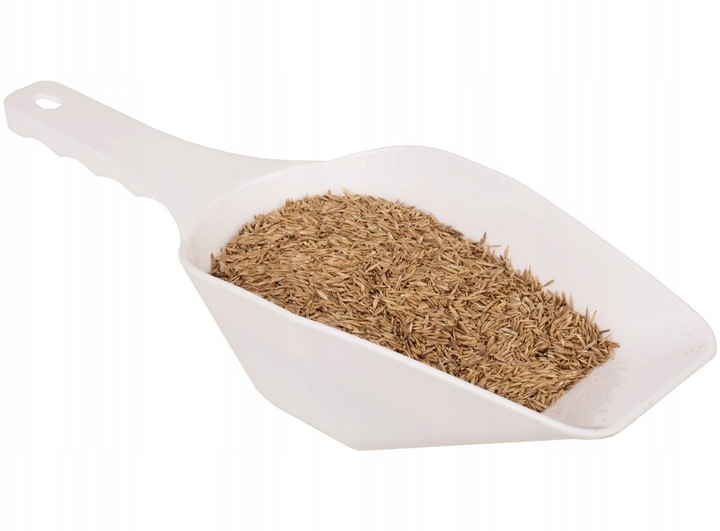 TRAWA ŁĄKOWA PASTWISKOWA ŁĄKA MIESZANKA NA SIANO WYDAJNA I TRWAŁA 5kg