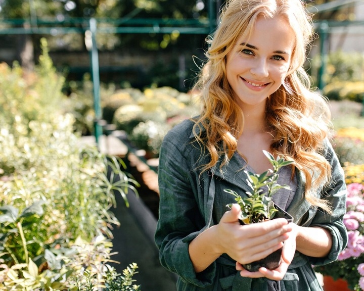 Monstera Monkey Mask Adansonii - Bardzo Ładny Kwiatek Szwajcarski Ser