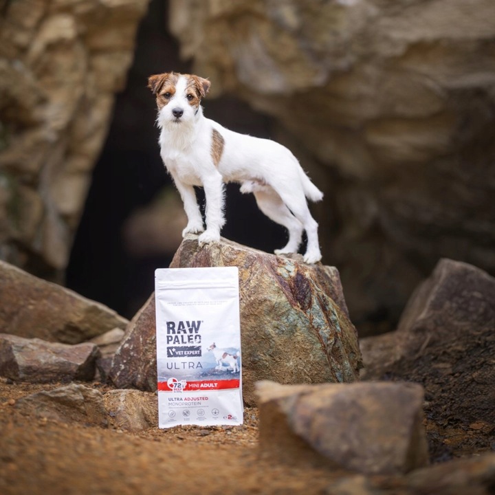 Raw Paleo Ultra Beef Adult Mini 2kg Karma z Wołowiną Dla Psów Ras Małych