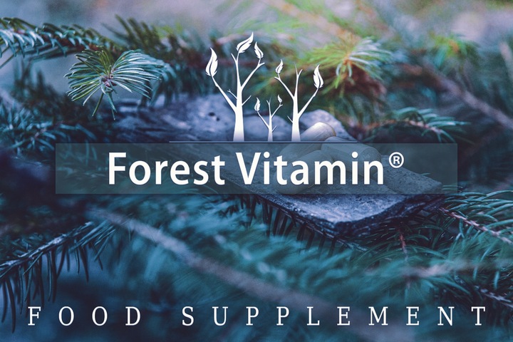 SPERMIDYNA 60 KAPS 10mg MOCNA CZYSTA SPERMIDYNE TRICHLOROWODOREK SPERMIDYNY