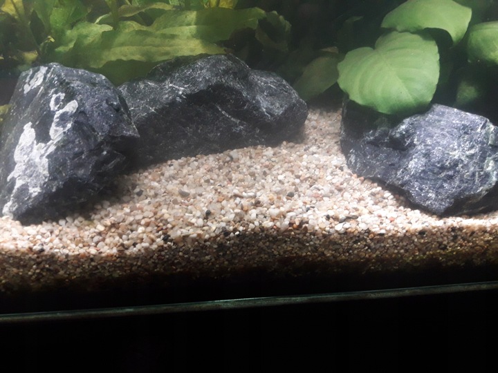 NATURALNY ŻWIREK 1-4 mm 25 kg AKWARIUM