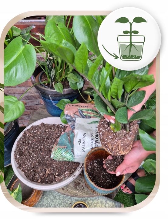 Podłoże Bigos Lekka Ziemia do kwiatów roślin zielonych 8L Mieszanka