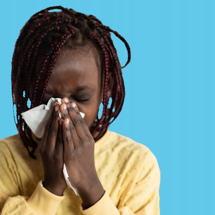 CHUSTECZKI HIGIENICZNE Alice 12x 100 sztuk 2W CELULOZA WYCIĄGANE W PUDEŁKU