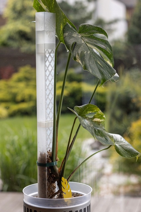 SPHAGROW AQUADRIP Nawadniacz kropelkowy do palika SPHAGROW D-6-25