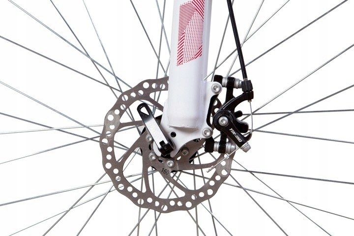 ROWER GÓRSKI MTB 29 SHIMANO RAMA 19, 21 CALI HAMULCE TARCZOWE 21 BIEGÓW