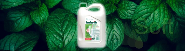LUDWIK Płyn do mycia naczyń miętowy 5 kg