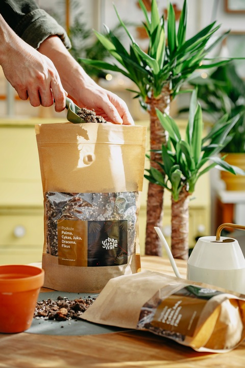 Ziemia do PALM, CYKASA, JUKI, DRACENY i FIKUSA 5L bigos, podłoże