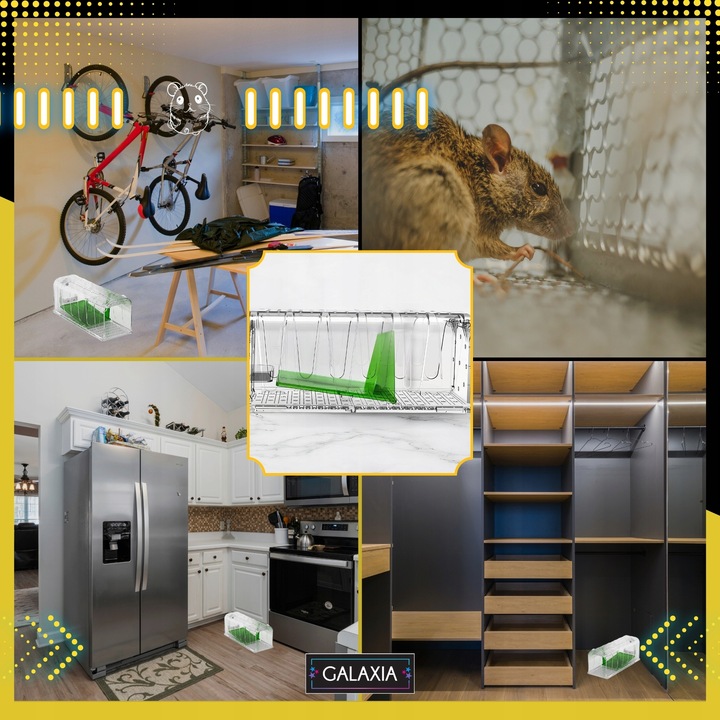 ŻYWOŁAPKA NA MYSZY 2 SZT Pułapka Łapka Szczury Pułapki Łapki 2X