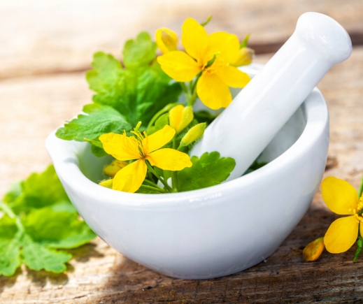 GLISTNIK JASKÓŁCZE ZIELE EKSTRAKT 100% 30 ML