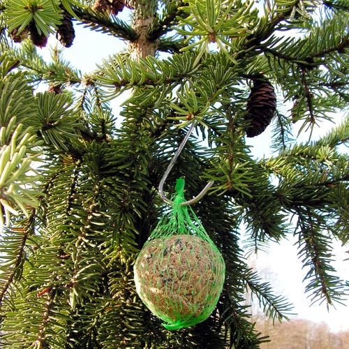 Kule Pyzy Tłuszczowe Pokarm Zimowy dla Dzikich Ptaków 100szt ZESTAW