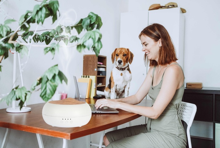 AROMA ZEN markowy EKO dyfuzor ultradźwiękowy