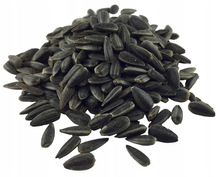 Słonecznik czarny drobny 20 kg karma dla ptaków