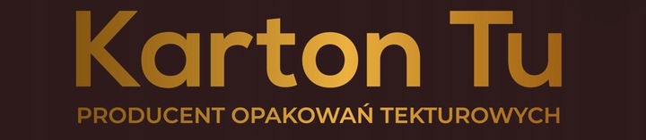 KARTON PUDEŁKO 200x120x80 100 szt KT4 KARTONTU