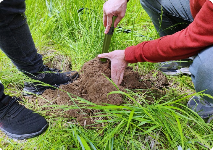 WYKRYWACZ METALI DETEKTOR METALU PINPOINTER COBRA TECTOR