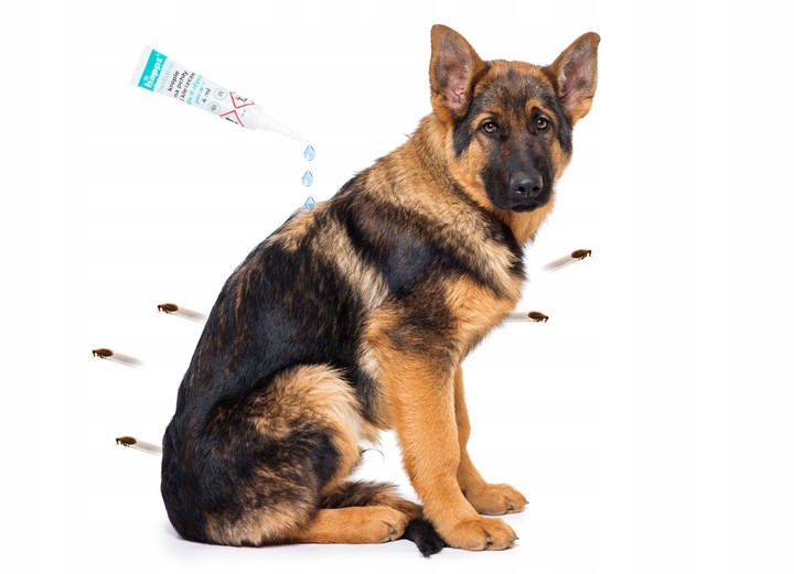 KROPLE NA PCHŁY KLESZCZE DLA DUŻYCH PSÓW (20-40KG) HAPPS DŁUGIE DZIAŁANIE