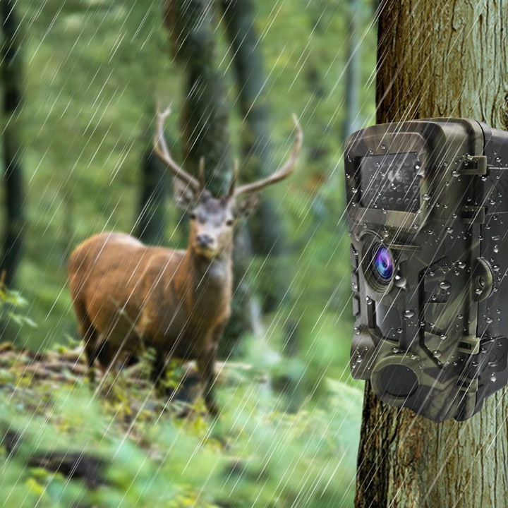 Kamera Leśna Fotopułapka Myśliwska Ip66 Czujnik Ruchu IR Tryb Nocny