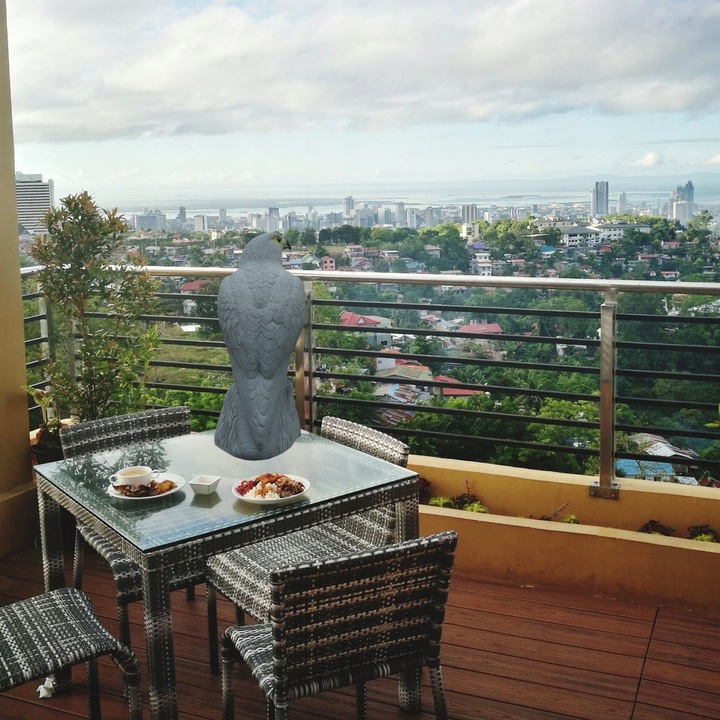 DUŻY ODSTRASZACZ PTAKÓW GOŁEBI SZPAKÓW SOKÓŁ na skale EFEKT BŁYSZCZĄCE