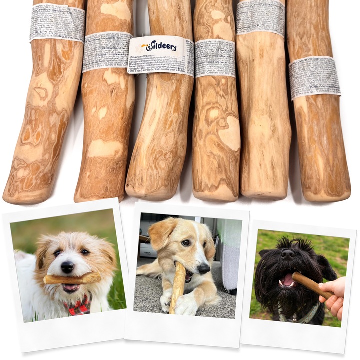 PATYK Z DRZEWA KAWOWEGO M NATURALNY KAWOWY GRYZAK DLA PSA WYTRZYMAŁY ŚREDNI