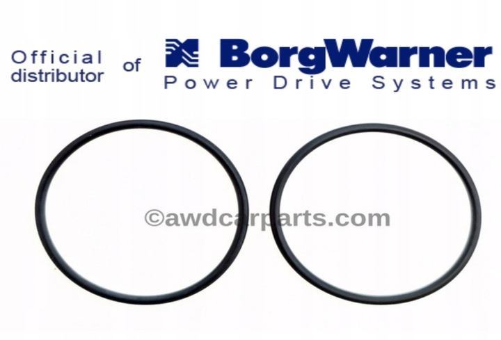 BorgWarner Oringi do pomp Haldex 5 i 6 generacji + Śruby pompy 5 gen GRATIS