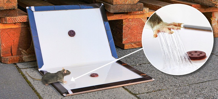 5X DUŻY LEP NA SZCZURY I MYSZY PUŁAPKA LEPOWA Z WABIKIEM 35X22 CM