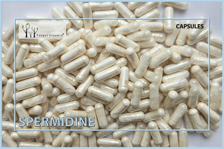 SPERMIDYNA 60 KAPS 10mg MOCNA CZYSTA SPERMIDYNE TRICHLOROWODOREK SPERMIDYNY