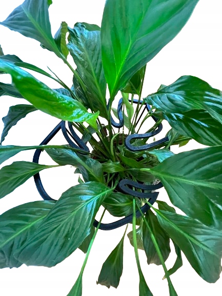 Podpórki do roślin kwiatów podpórka podpora obręcz RING MONSTERA M 33cm