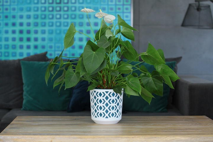 Doniczka AZTEK 14 h15 k-Czarny + w-Złoty Jasny