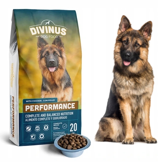 DIVINUS PERFORMANCE DLA OWCZARKA KARMA SUCHA 20KG