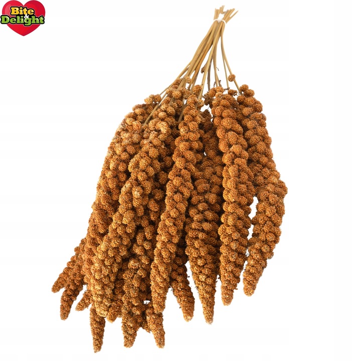 PROSO SENEGALSKIE BIAŁE + CZERWONE 0,5KG + 0,5KG CZYSTE DUŻE KŁOSY