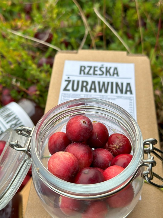 sok z żurawiny 100% żurawinowy żurawina NFC 1,5L bez chemii prozdrowotny