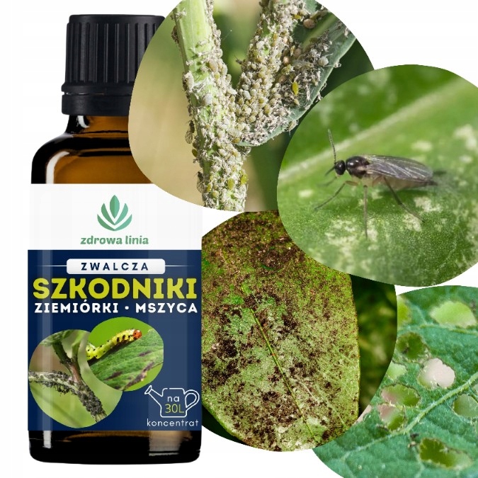 Zwalcza szkodniki koncentrat na 30 l ziemiórki mszyce olej neem 30 ml