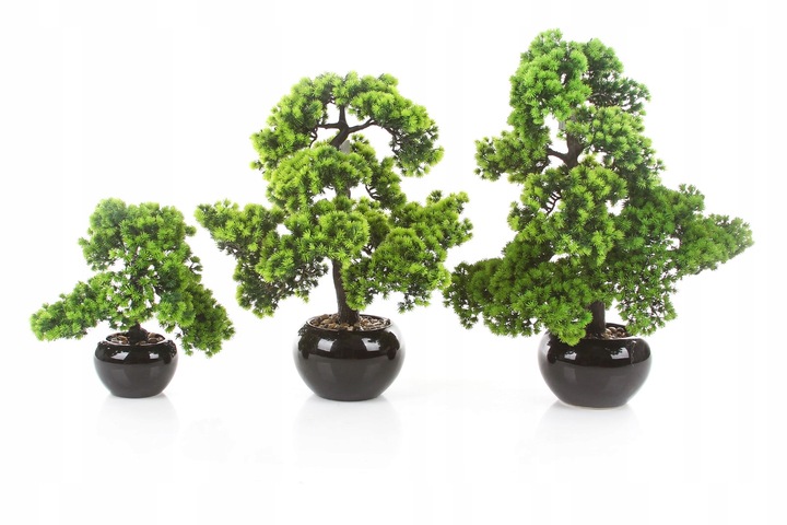 sztuczne drzewko BONSAI LARCH 48x35 modrzew w ceramicznej czarnej doniczce