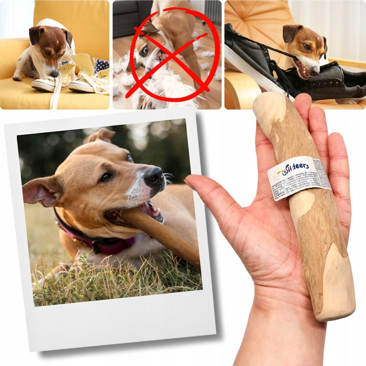 PATYK Z DRZEWA KAWOWEGO M NATURALNY KAWOWY GRYZAK DLA PSA WYTRZYMAŁY ŚREDNI