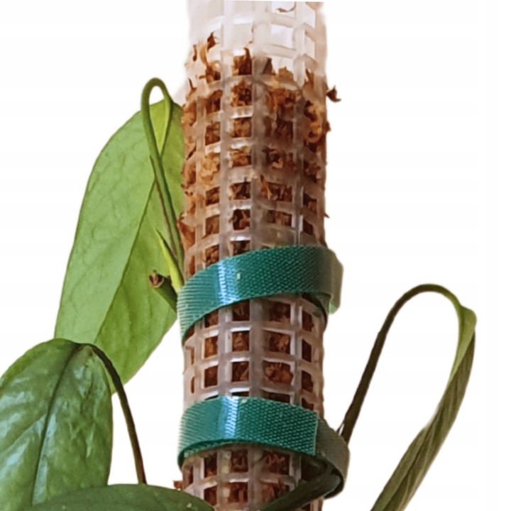 Podpora do roślin pnączy do mchu Sphagnum Palik Tyczka Do Epipremnum