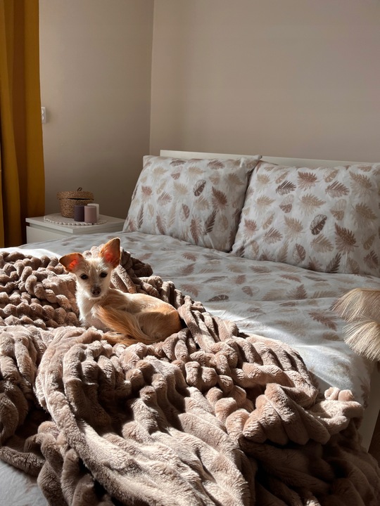 Komplet Pościeli Polarowej 160x200+2x 70/80 Ciepła Gruba Mack Home Liście