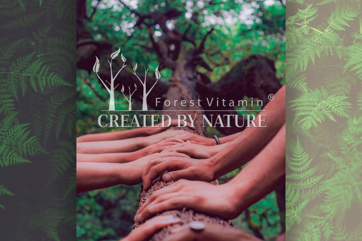 CZYSTA W PROSZKU NATTO Nattokinaza 25g UKŁAD KRĄŻENIA CIŚNIENIE KREW JAKOŚĆ