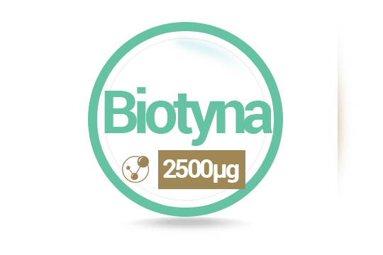 MODULATOR HOMOCYSTEINY B12 B6 B7 B9 Kwas Foliowy