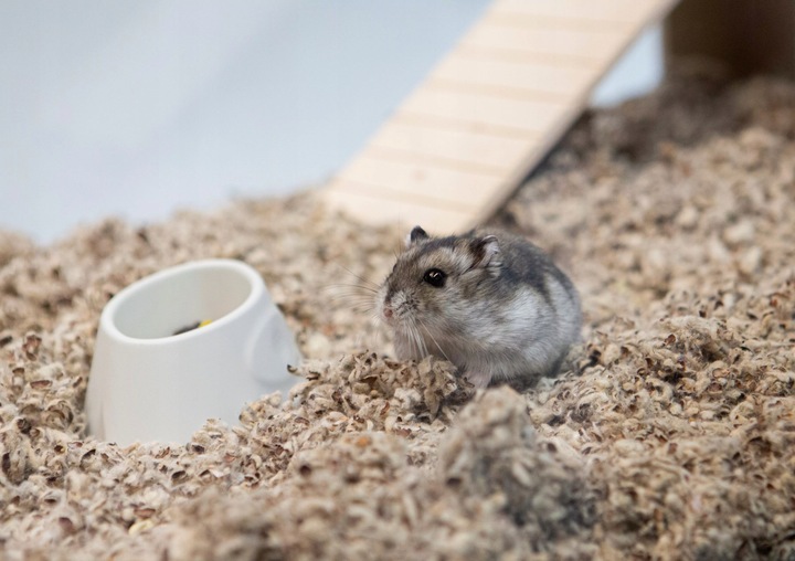 COMFY COTTON BEDDING PODŁOŻE BAWEŁNIANE 10L