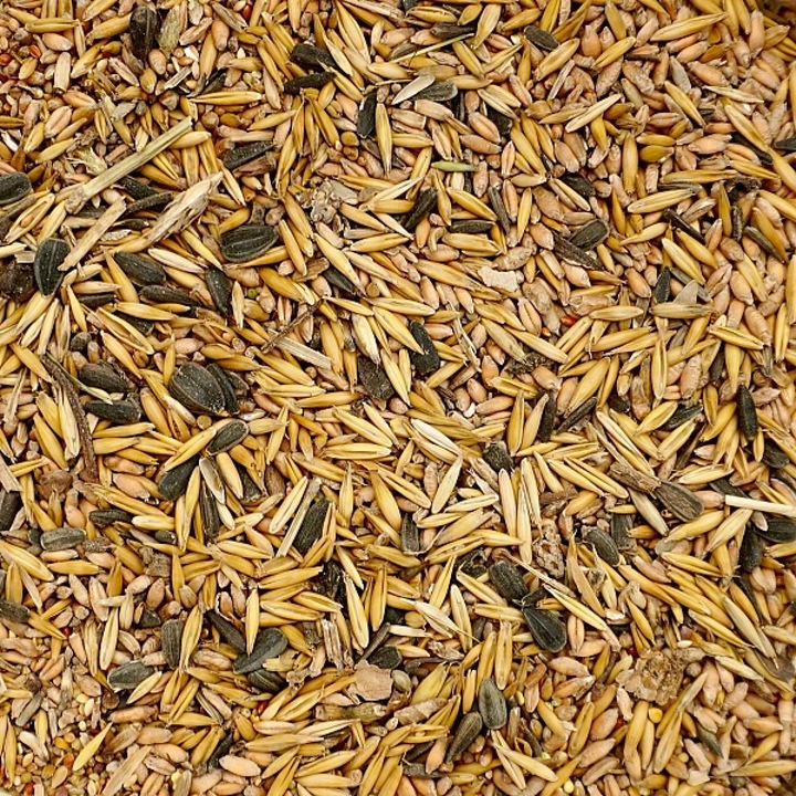 14kg Uniwersalna karma dla ptaków ziarno pokarm zimowy karmnik Champi