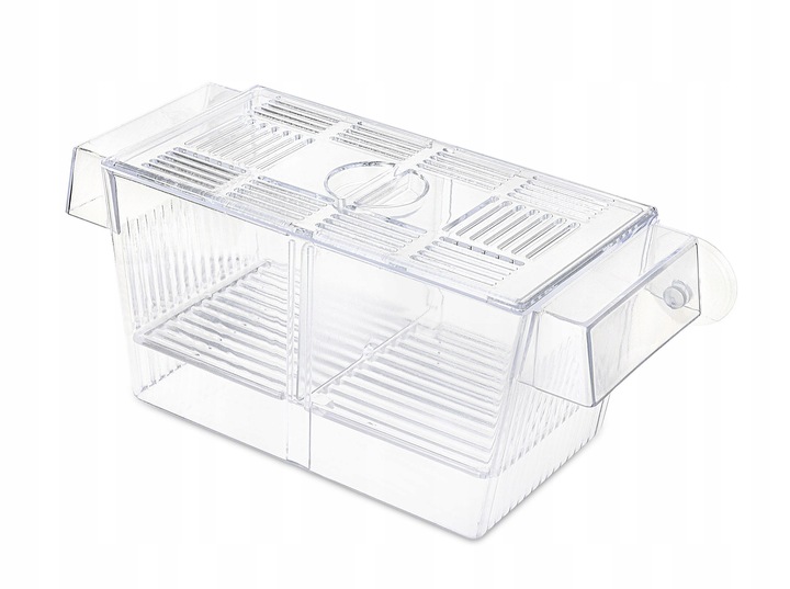 PŁYWAJĄCY KOTNIK DO AKWARIUM PLASTIKOWY GUPIK MIECZYK MALEZYJCZYK ROZMIAR L