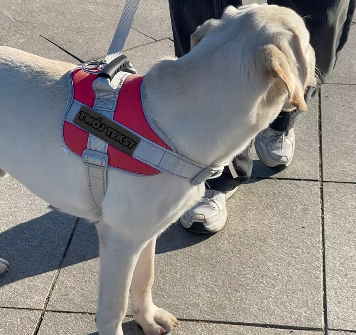 MOCNE SZELKI dla PSA BEZUCISKOWE M 50-62 + GRAWER