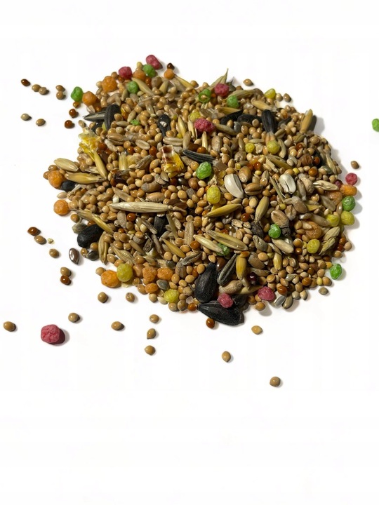 Karma Jedzenie Pokarm Z Słonecznikiem Dla Ptaków Papug Średnich Nimfa