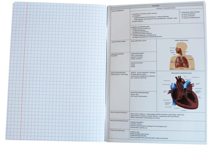 Komplet zestaw 10 zeszytów ściąga kolor Interdruk A5/60k zeszyt klasa 4-8