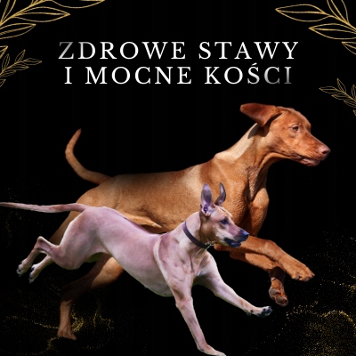 LAB V Olej z łososia z zawartością witamin 250ml