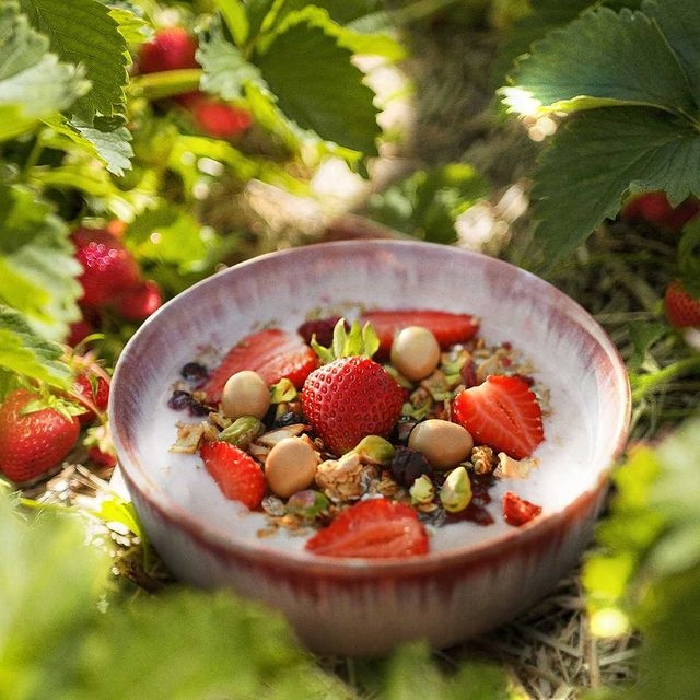 OneDayMore MUSLI CODZIENNE BEZ CUKRU tuba 500g