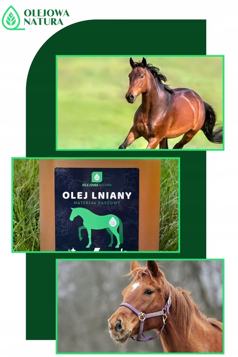 OLEJ LNIANY DLA KONI 5L PASZA DLA ZWIERZĄT + STRZYKAWKA